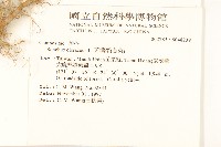 苦滇菜、苦菜藏品圖，第2張