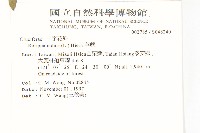 葶藶藏品圖，第2張