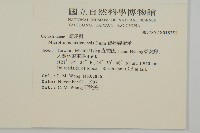 福建賽衛矛、福建假衛矛藏品圖，第2張