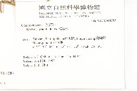 海牽牛藏品圖，第2張