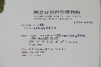 草野氏冬青藏品圖，第2張