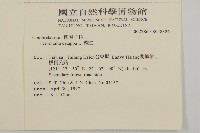 欖仁藏品圖，第2張