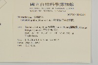 草珊瑚、紅果金粟蘭藏品圖，第2張