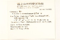 臺灣福王草藏品圖，第2張