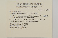 裂葉艾納香藏品圖，第2張