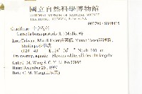 薺藏品圖，第2張