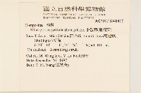 小舌菊、蔓綿菜藏品圖，第2張