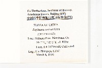 蘿蔔、夢卜藏品圖，第2張