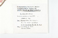 黃鵪菜藏品圖，第2張