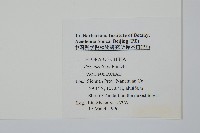 珊瑚冬青藏品圖，第2張