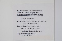 青城細辛藏品圖，第2張