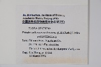 雲南山殼骨藏品圖，第2張