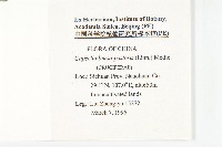 薺藏品圖，第2張