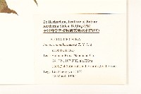 登錄號:S048495藏品圖，第2張