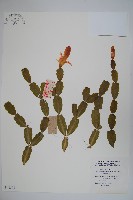 登錄號:S048504藏品圖，第1張