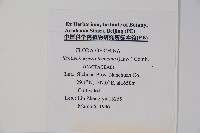 登錄號:S048504藏品圖，第2張