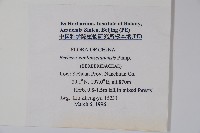 刺黃柏藏品圖，第2張