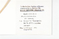 小白菜、不結球白菜藏品圖，第2張