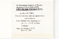 高麗菜藏品圖，第2張