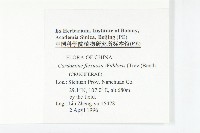 焊菜藏品圖，第2張