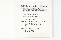 大青藏品圖，第2張