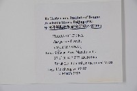 貓兒刺藏品圖，第2張