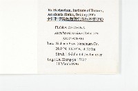 倒心葉珊瑚藏品圖，第2張