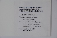 高山莢迷藏品圖，第2張