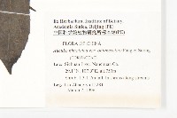 登錄號:S048616藏品圖，第2張