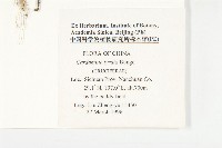 水田碎米薺藏品圖，第2張