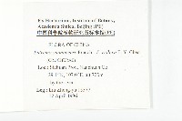 山俞菜藏品圖，第2張