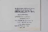 柔毛淫羊藿藏品圖，第2張