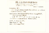 刀傷草藏品圖，第2張