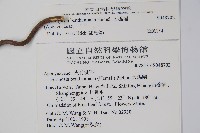 大錦蘭藏品圖，第2張