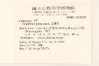 鼠麴舅藏品圖，第2張