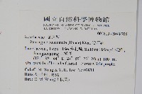 哈哼花藏品圖，第2張