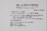 大花細辛、馬蹄香藏品圖，第2張