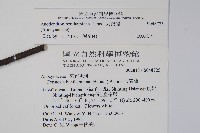 大錦蘭藏品圖，第2張