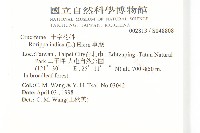 葶藶藏品圖，第2張