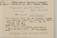 及己藏品圖，第2張