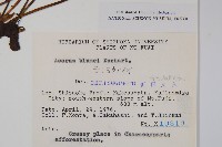 杜衡藏品圖，第2張