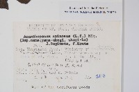 登錄號:S048878藏品圖，第2張