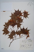 登錄號:S048893藏品圖，第1張