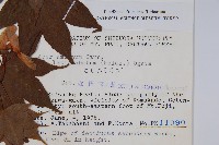 登錄號:S048894藏品圖，第2張