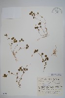 登錄號:S048899藏品圖，第1張