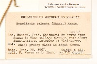 登錄號:S048917藏品圖，第2張