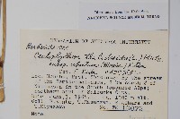 登錄號:S048919藏品圖，第2張