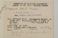 暗花金挖耳藏品圖，第2張