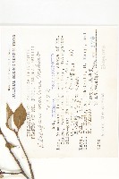 登錄號:S048937藏品圖，第2張