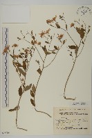 登錄號:S048939藏品圖，第1張